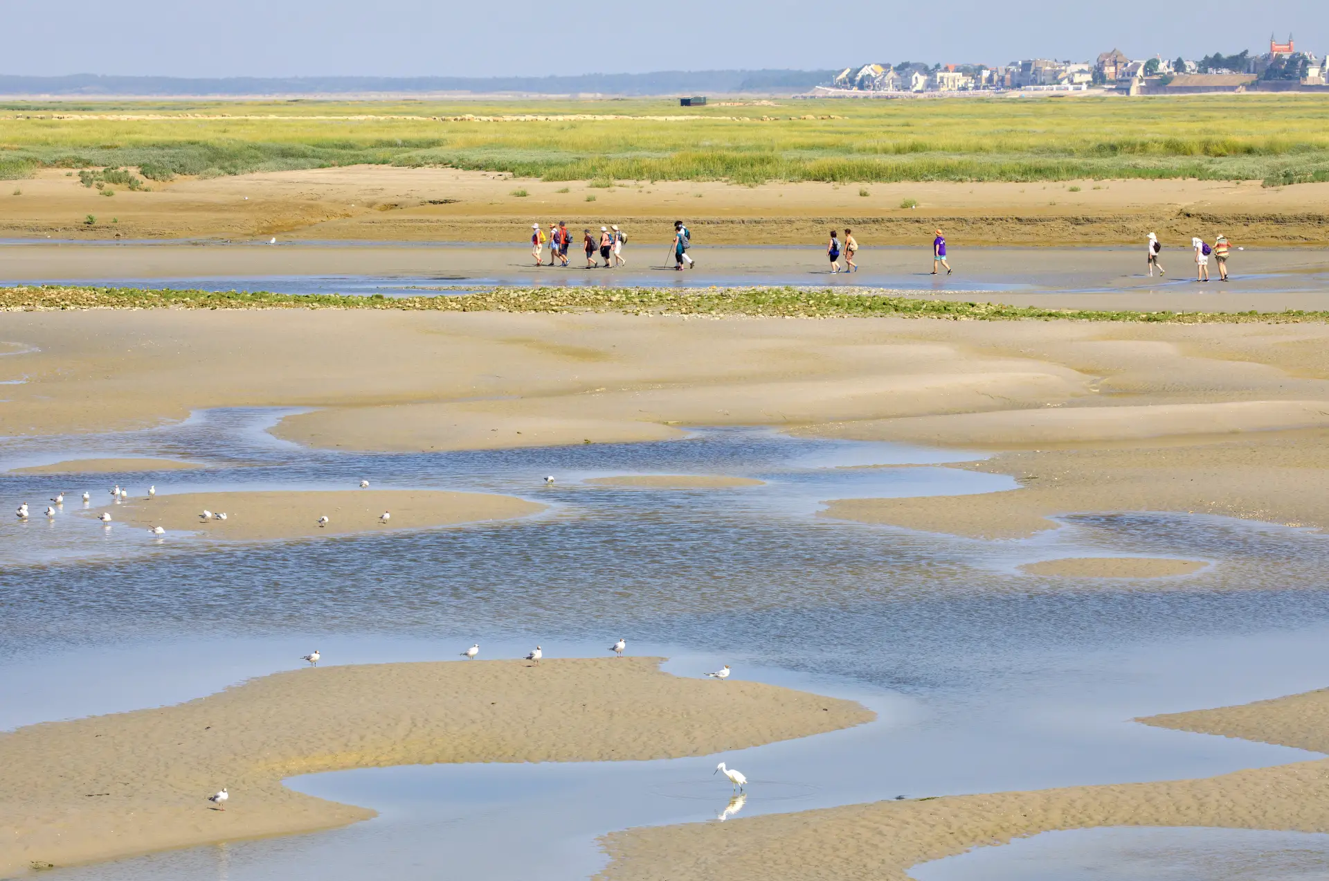 Randonnée guidée pour la traversée de la Baie de Somme entre Saint-Valery et Le Crotoy