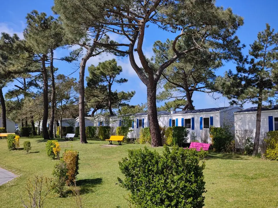Au coeur de la Baie de Somme, à 800 mètre de la plage, le camping Les Galets de la Mollière est installé sur une prairie de 6 hectares à Cayeux-sur-Mer
