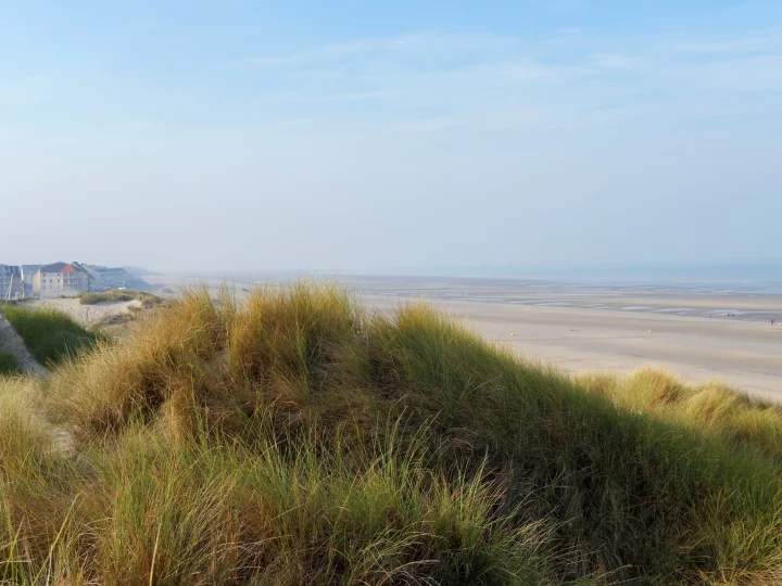 Plage et dunes avec bâtiments au loin.