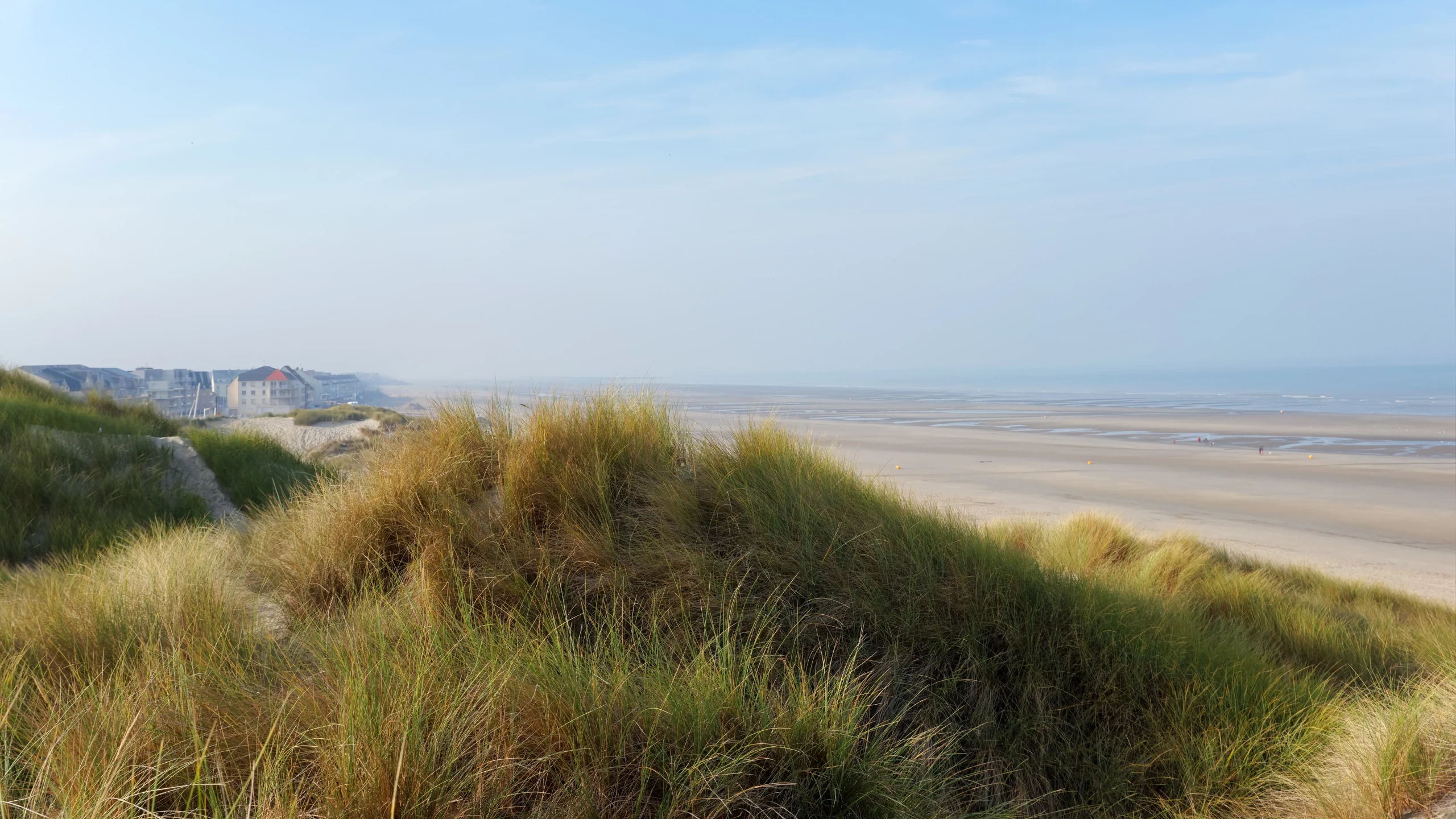 Plage et dunes avec bâtiments au loin.