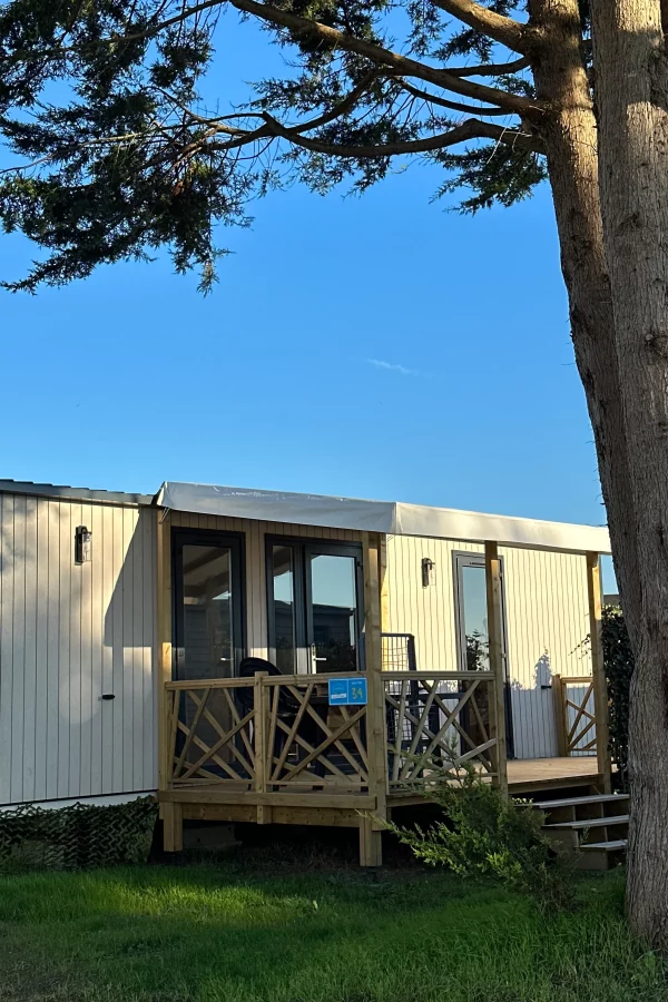 Chalet moderne sous ciel bleu et arbre.