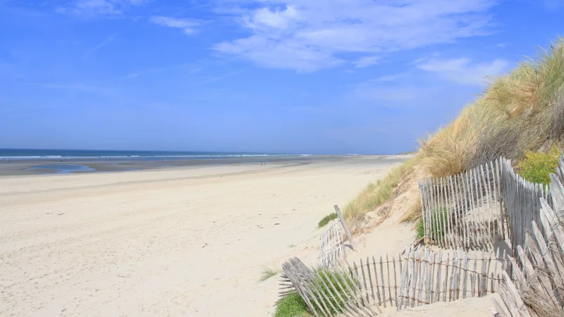 Plage de sable avec clôture en bois.