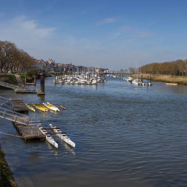 Port avec bateaux et arbres en arrière-plan.