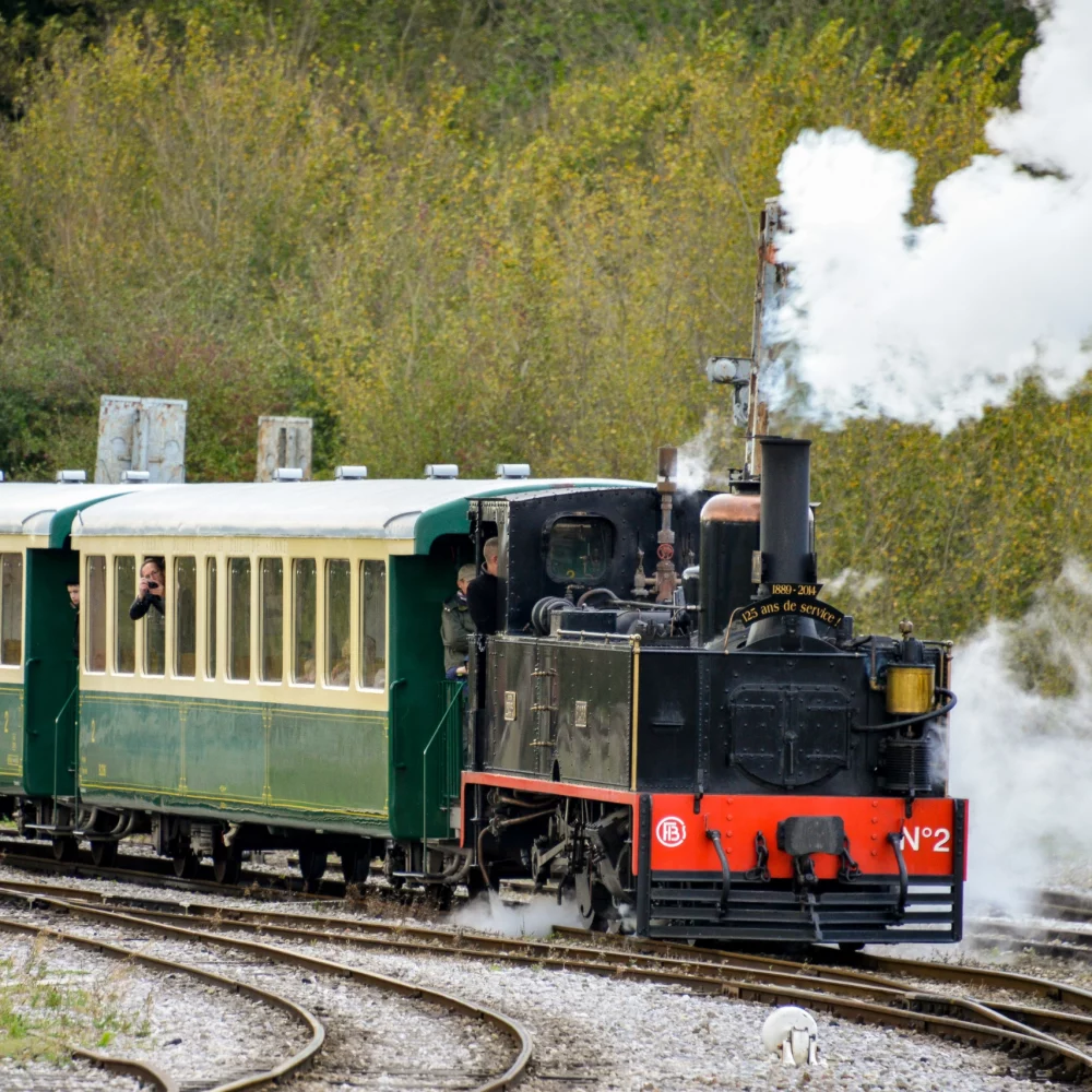 Train à vapeur sur les rails en mouvement.